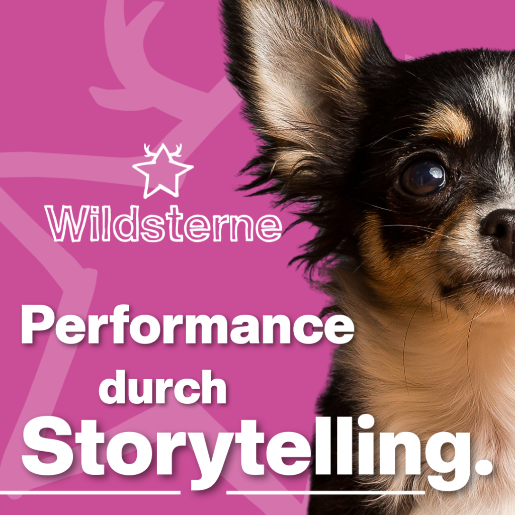 Wildsterne Markenauftritt auf pinkem Hintergrund mit Logo und Hundeportrait; Fokus auf Breed Selection Produkt, Logo von Luxregia sichtbar