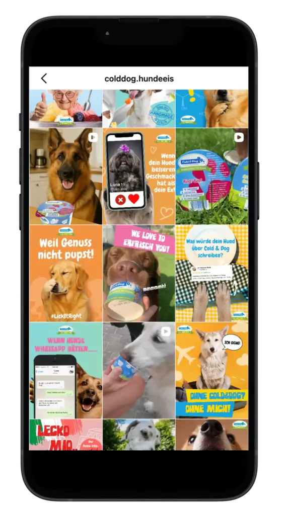 Buntes Social-Media-Raster auf einem Smartphone-Mockup mit ColdDog Hundeeis und Hundemotiven, erkennbar u. a. „Weil Genuss nicht pupst!“