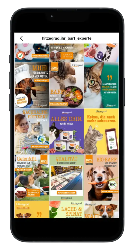Auf dem Smartphone ist ein Hitzegrad-Instagram-Feed mit Hunden und Katzen sowie orange-gelben Designflächen zu sehen, Texte wie „BARF“ und „100% natürlich“ sind im Layout erkennbar.