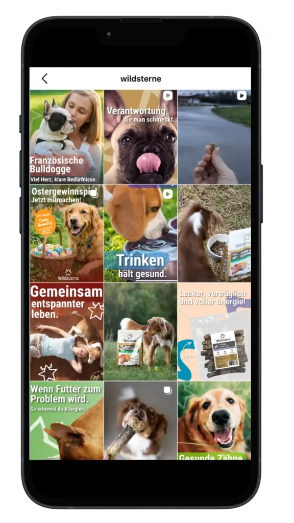 Auf dem Smartphone-Display von Wildsterne sind Heimtier-Ads mit Hunden zu sehen, darunter „Trinken hält gesund“ und „Verantwortung“.