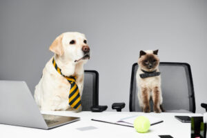Zwei Heimtiere am Schreibtisch: ein weißer Hund mit gelb-blauer gestreifter Krawatte und eine Katze mit Fliege neben Laptops.