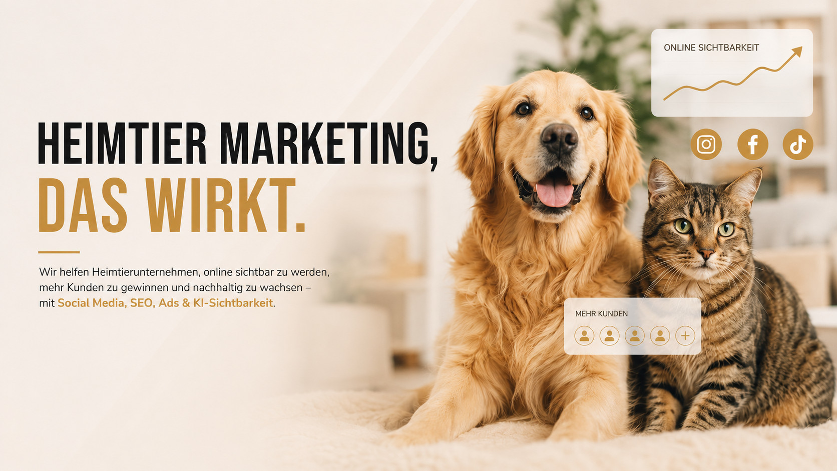 Golden Retriever und getigerte Katze zeigen Heimtier-Marketing 2026, mehr Online-Sichtbarkeit und Kunden gewinnen mit Social Media, SEO und Ads.