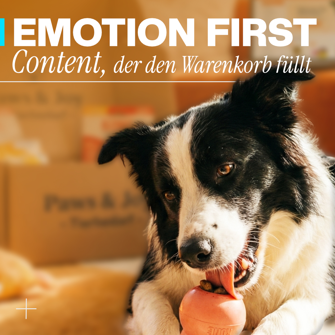 Schwarz-weißer Border-Collie-Mischling mit rotem Spielball im Maul vor Kartons in einer Haustier-Umgebung; Logo und Text Emotion First von Luxregia GmbH im Bildhintergrund.
