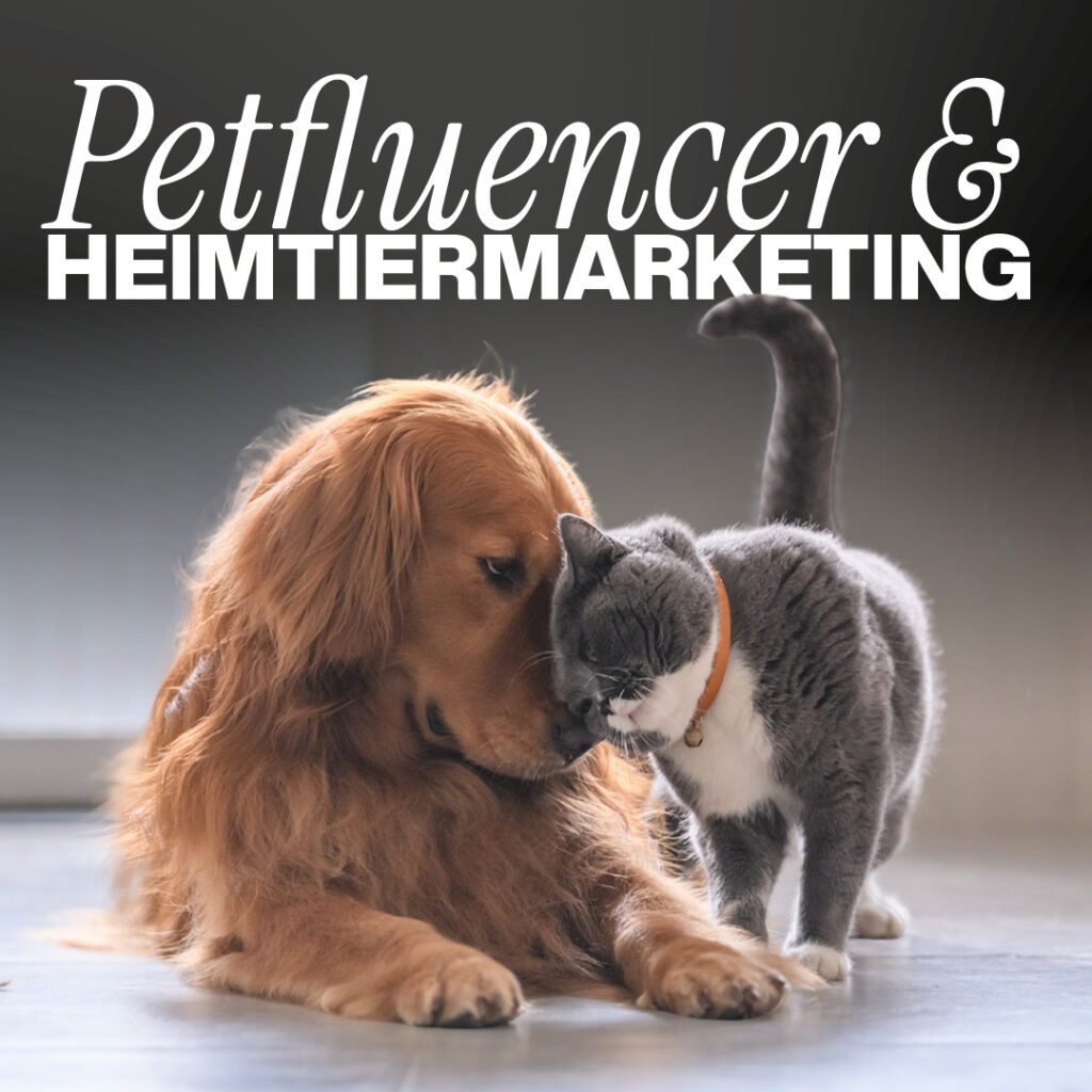 Luxregia Petfluencer & Heimtiermarketing: Golden Retriever und graue Katze interagieren freundlich miteinander, geeignet für Markeninhalte im Heimtierbereich.