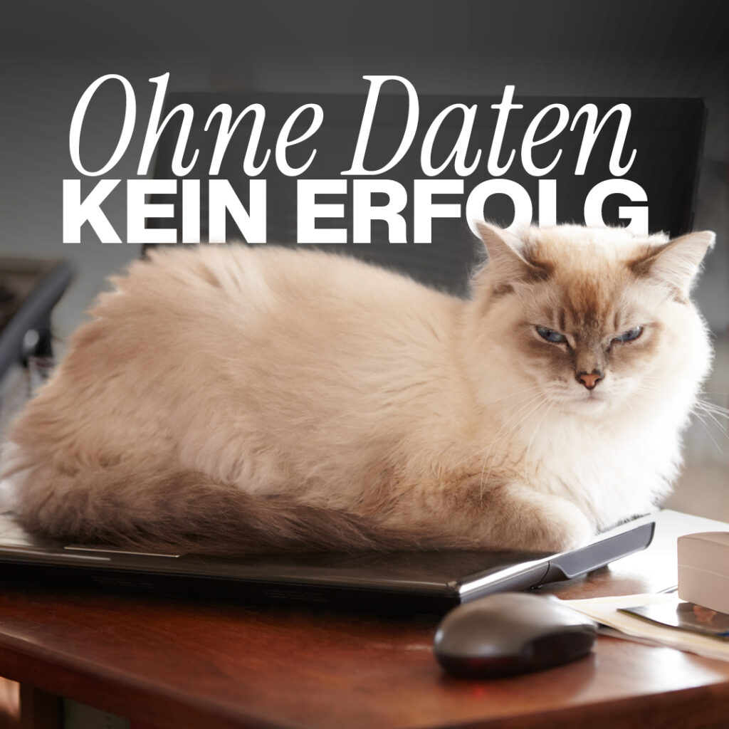 Katze liegt verschmitzt auf einem Laptop, Text Overlay: Ohne Daten kein Erfolg, Referenz zu Luxregia GmbH und Petfluencer-Thema