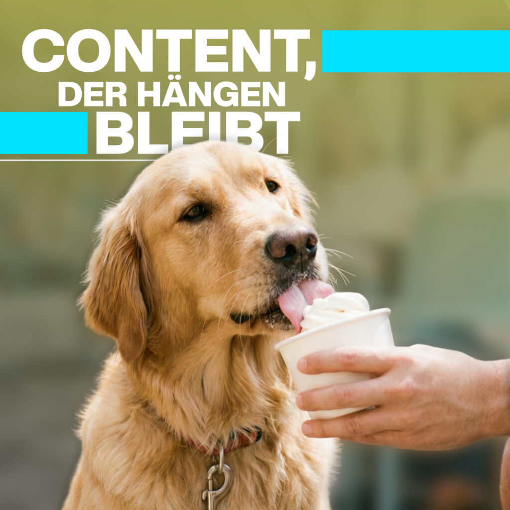 Luxregia Golden Retriever leckt ein Eiscreme-Behälter, gehalten von einer Hand, Branding Hinweis auf Cold Dog, goldenes Fell, Hund als Protagonist