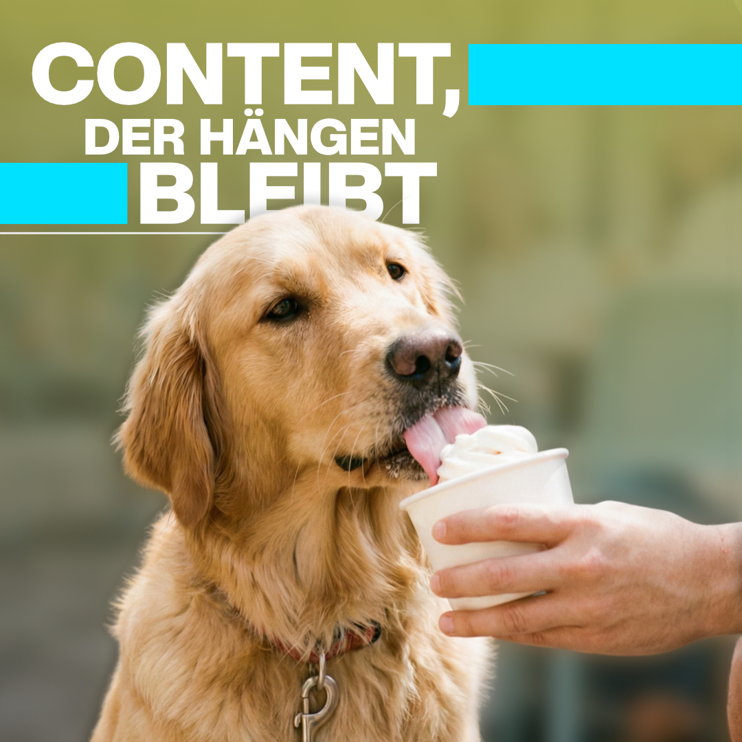 Luxregia Golden Retriever leckt ein Eiscreme-Behälter, gehalten von einer Hand, Branding Hinweis auf Cold Dog, goldenes Fell, Hund als Protagonist