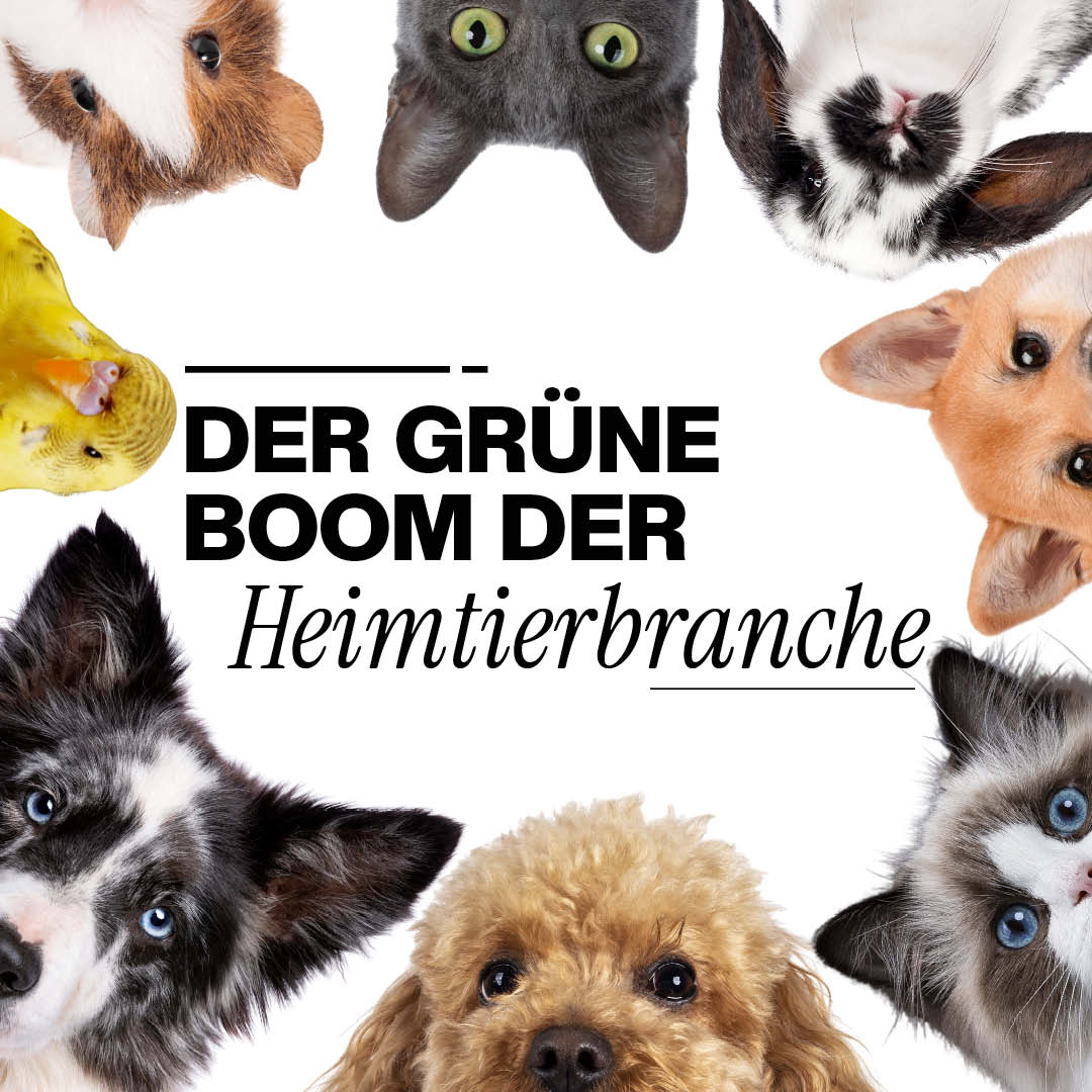 Vielfarbige Haustiere umrahmen das Bild; Hunde und Katzen bilden eine Collage, mit dem zentralen Text Der Grüne Boom der Heimtierbranche, geeignet als Headerbild.