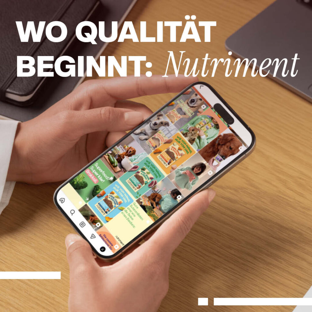 Luxregia Nutriment Headerbild: Nahaufnahme eines Smartphones mit buntem Futter-Layout, gehalten von einer Hand über einem braunen Holztisch – klare Markenbekanntheit.