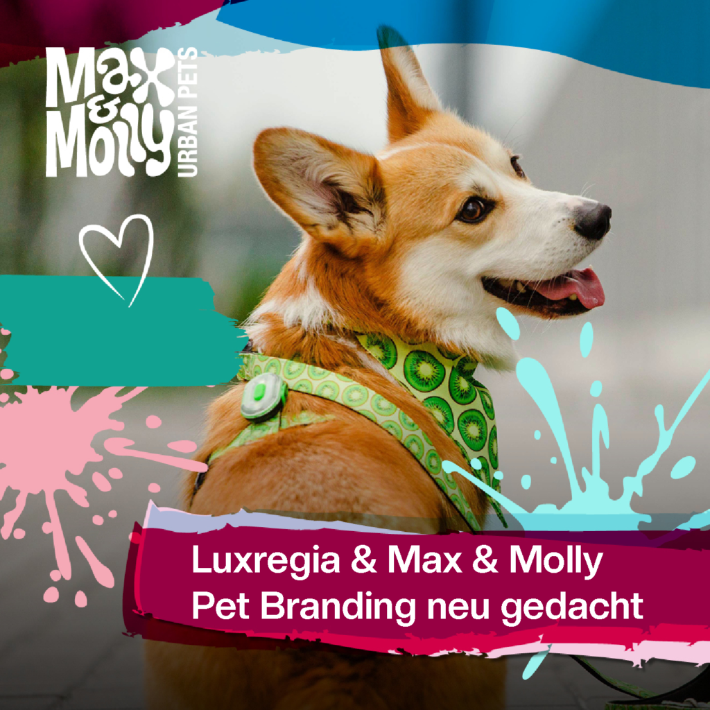 Orange-weißer Hund mit braunem Bandana von Max & Molly, Branding-Design mit Luxregia und blau-grünem Hintergrund, farbenfrohe Haustierästhetik.